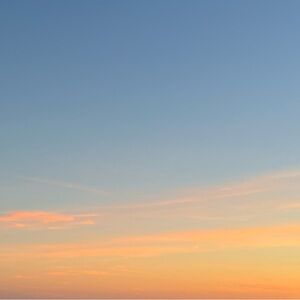 Meet your Posher, Teagan